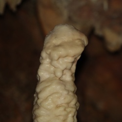 Grotte de la Forestière